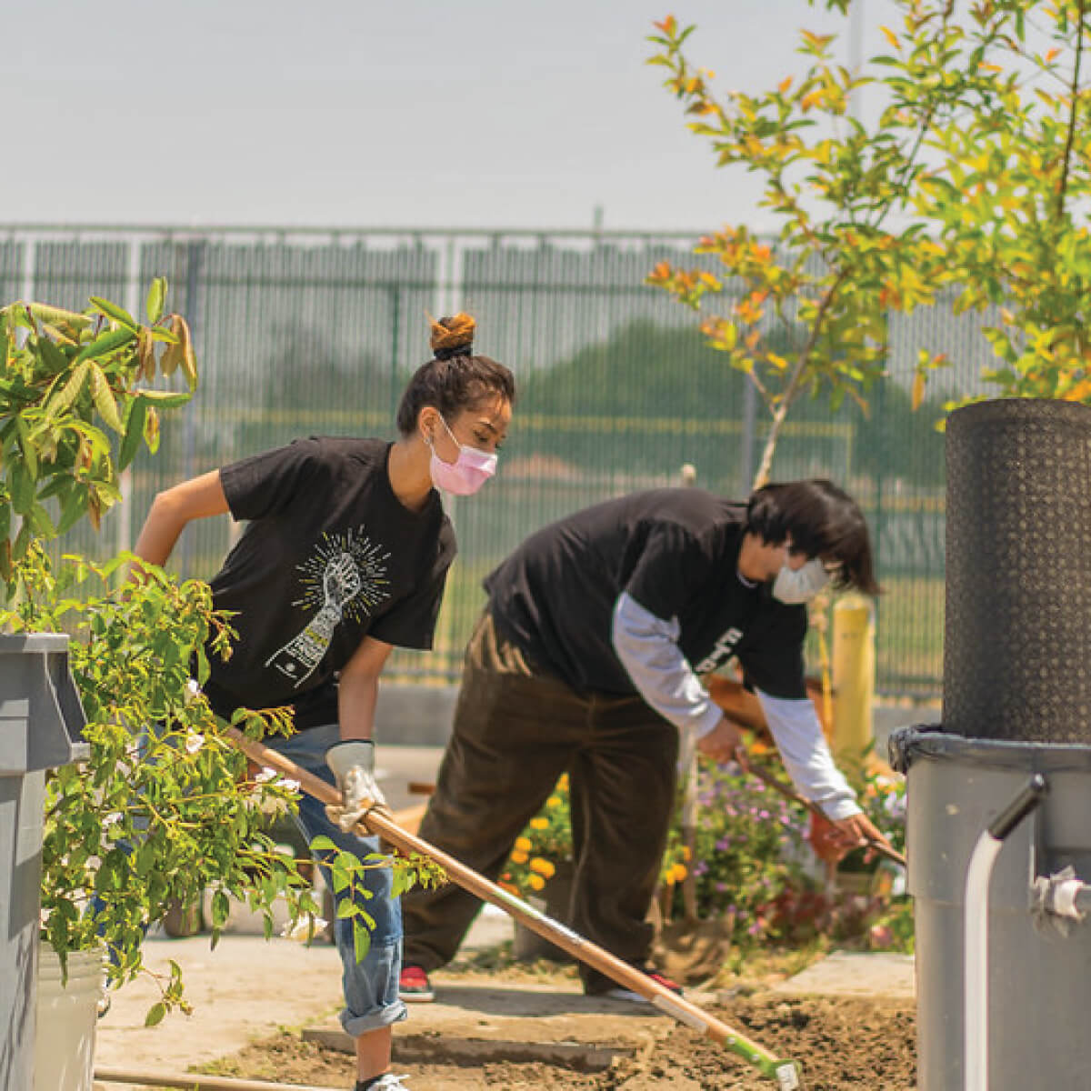 Sharefest Students Give Back for the Good of the Harbor